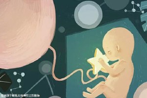 三代试管供卵机构男孩